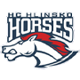 HC Hlinsko Horses