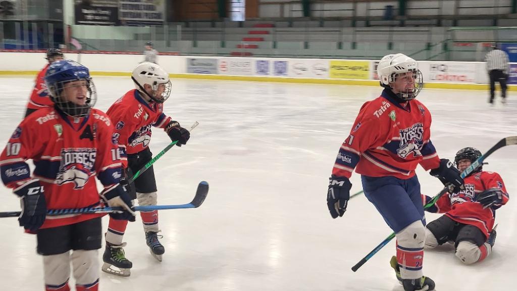 51 ročník Memoriál D. Entnera