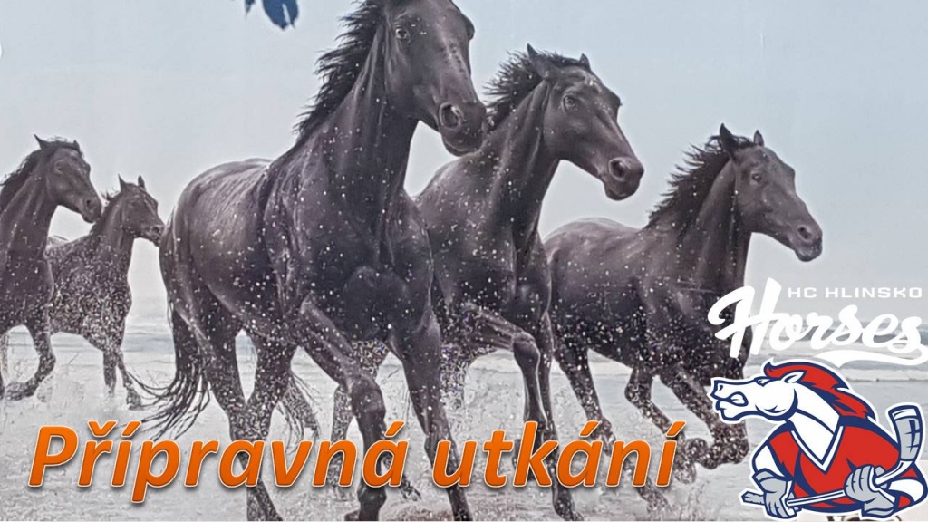 Přípravná utkání HC Hlinsko Horses